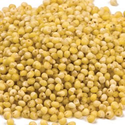 Millet (Food Grade) 